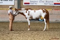 22-APHA HOTC_041